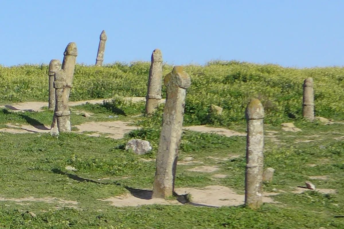 خالد نبی