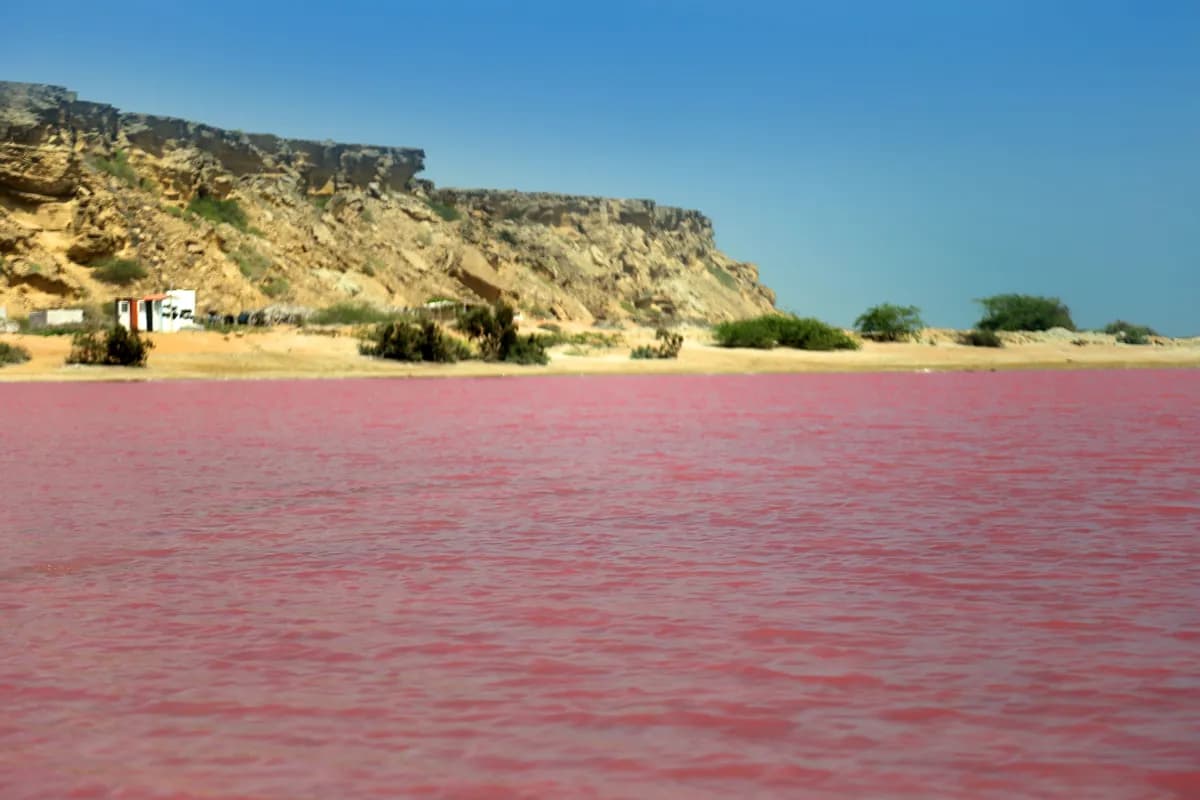 بازدید از تالاب لیپار