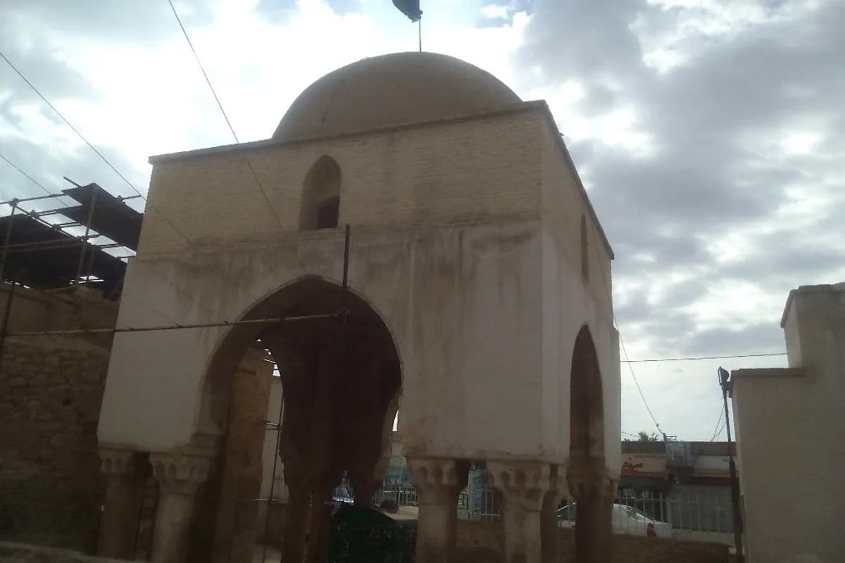 بازدید از کاخ سروستان