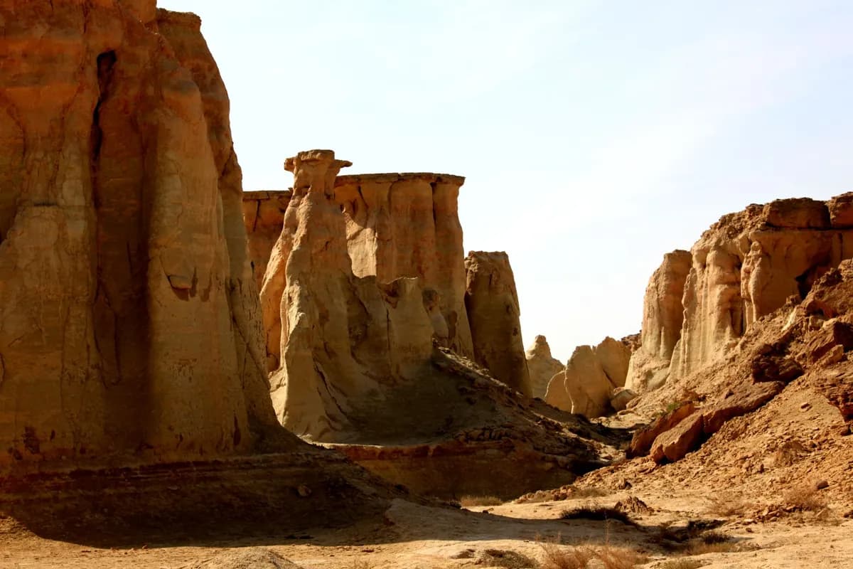 بازدید از درهٔ ستارگان
