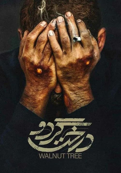 درخت گردو