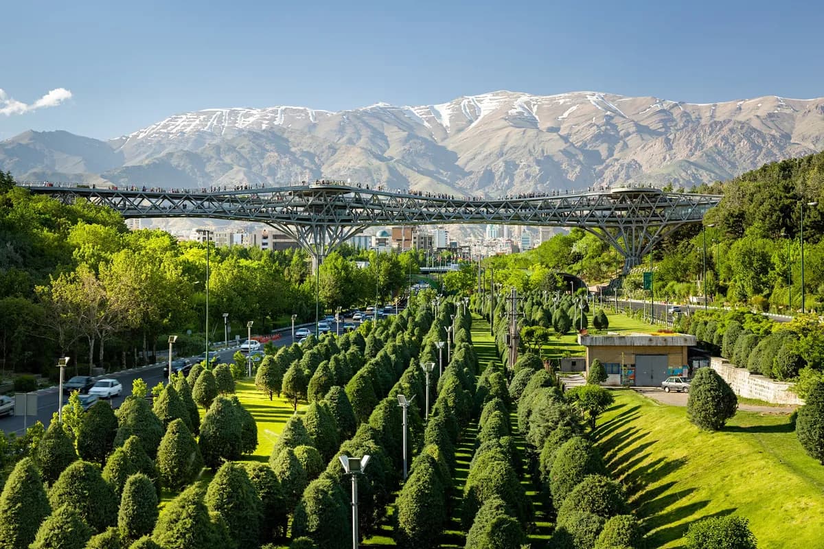 بازدید از پل طبیعت